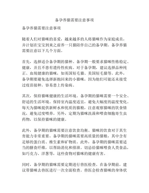 备孕养猫需要注意事项