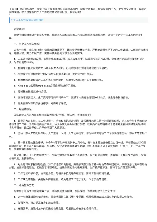 个人工作完成情况总结报告