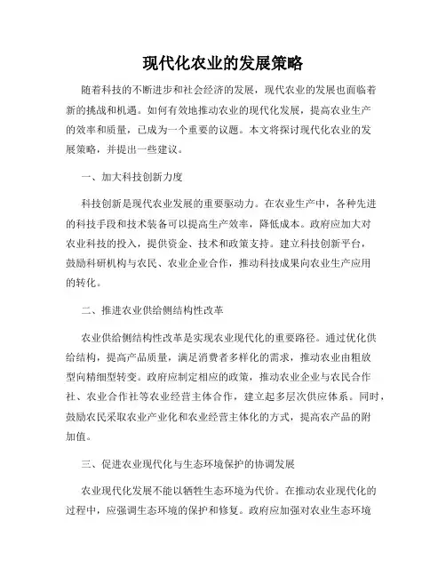现代化农业的发展策略