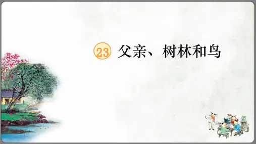 《父亲、树林和鸟》课件(共26张PPT)