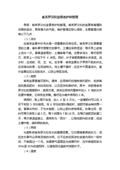 雀舌罗汉松盆景养护和管理