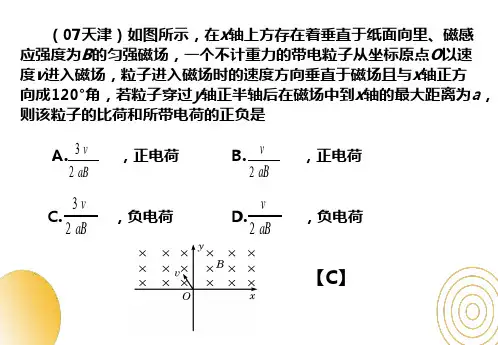 高三复习-10磁场高考题