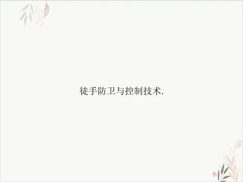 徒手防卫与控制技术实用PPT