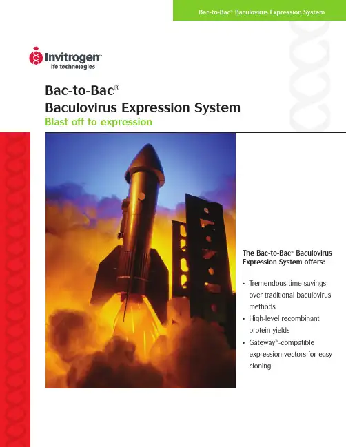 bac to bac 表达系统