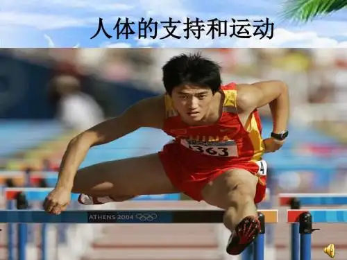人体的支持和运动