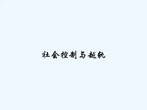 社会控制与越轨 PPT