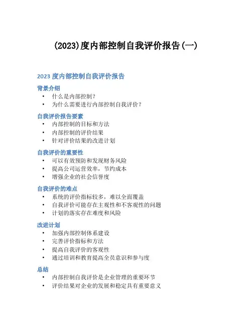 (2023)度内部控制自我评价报告(一)