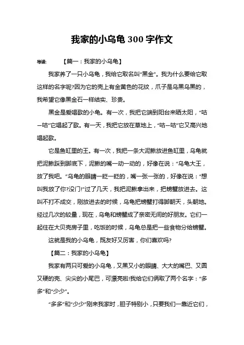 我家的小乌龟300字作文
