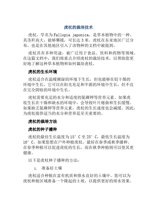 虎杖的栽培技术