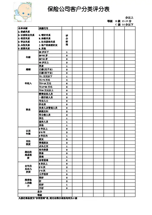 保险公司客户分类评分表