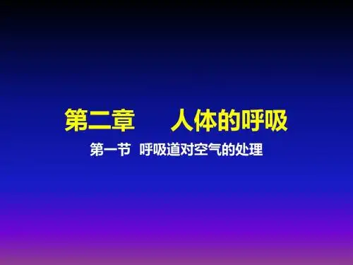 人体的呼吸ppt课件