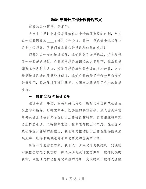 2024年统计工作会议讲话范文