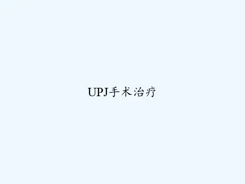 UPJ手术治疗 PPT