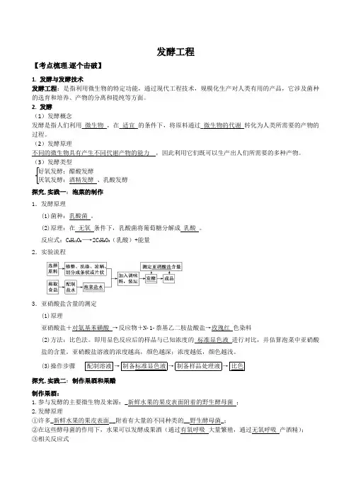 高考生物必备知识大串讲专题 传统发酵技术的应用(解析版)