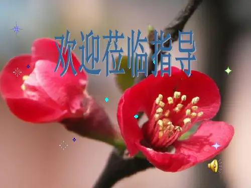 青春梦想主题班会ppt(1)