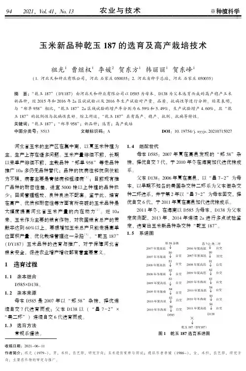 玉米新品种乾玉187的选育及高产栽培技术
