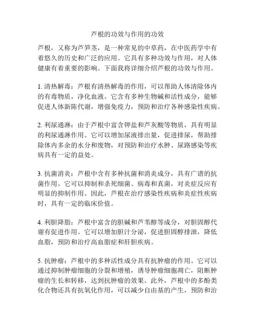 芦根的功效与作用的功效