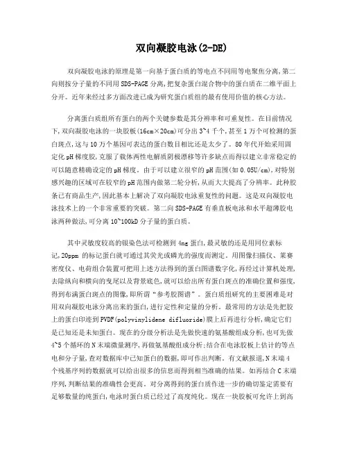 双向凝胶电泳