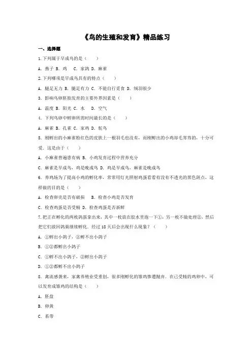 人教版-生物-八年级下册---鸟的生殖和发育 精品练习