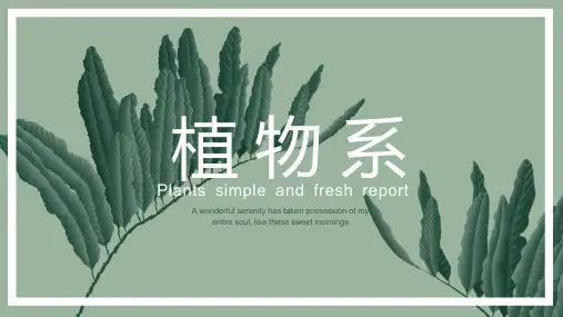 绿色清新植物叶子背景PPT模板