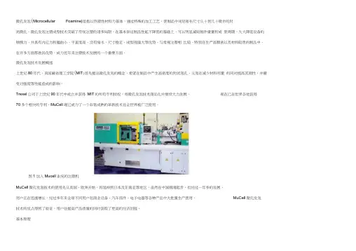 高质量低成本的MuCell微发泡注塑成形技术.总结