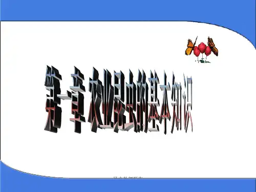 昆虫外部形态
