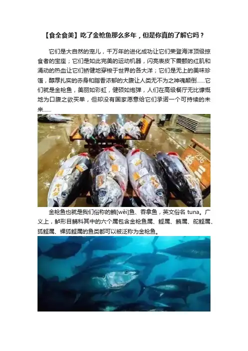 【食全食美】吃了金枪鱼那么多年，但是你真的了解它吗？