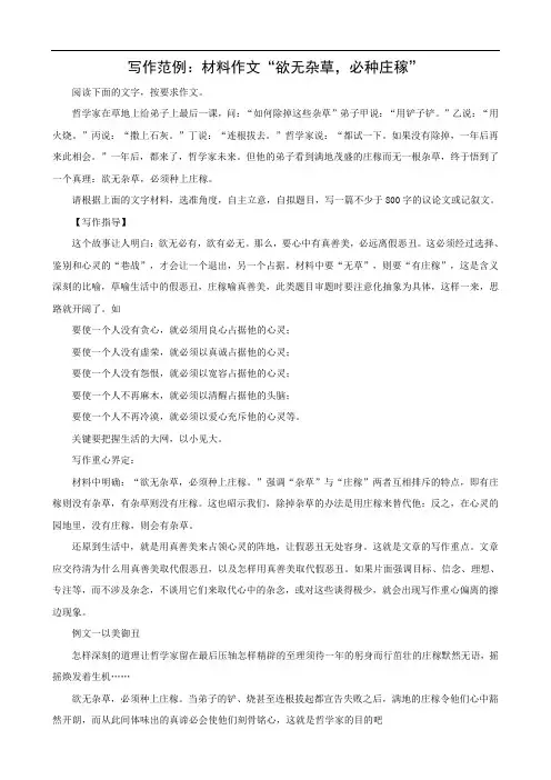 写作范例：材料作文“欲无杂草,必种庄稼”