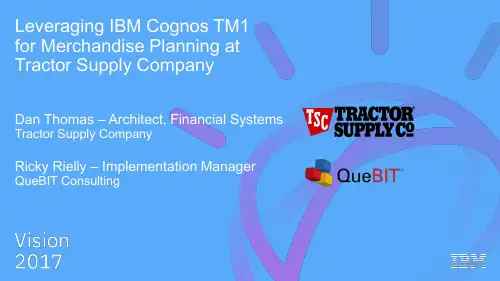 IBM Cognos TM1商品说明书