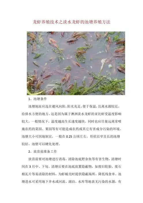 龙虾养殖技术之淡水龙虾的池塘养殖方法