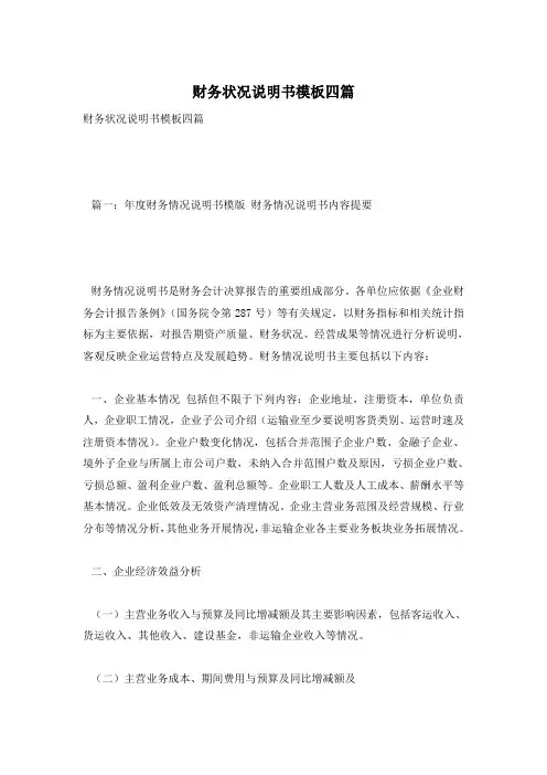 财务状况说明书模板四篇