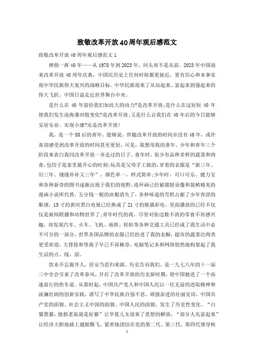 致敬改革开放40周年观后感范文