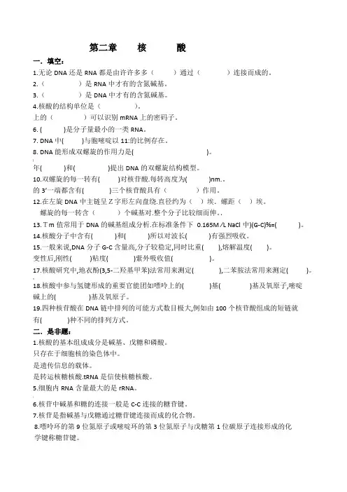 核酸化学综合测试题一