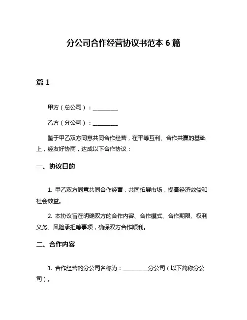 分公司合作经营协议书范本6篇