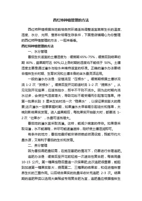 西红柿种植管理的方法