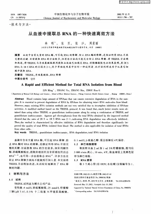 血液提取RNA
