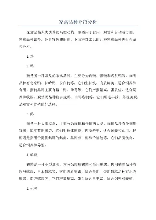 家禽品种介绍分析