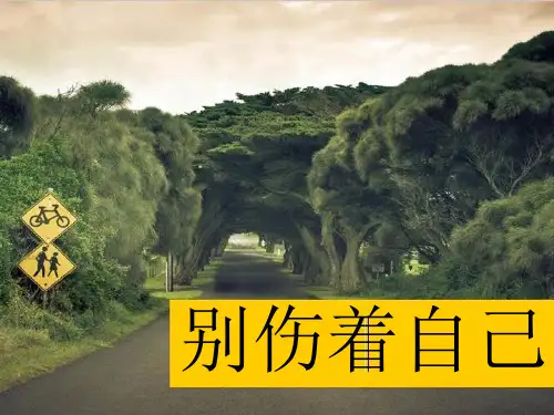 《别伤着自己》PPT人教部编版道德与法治课件1
