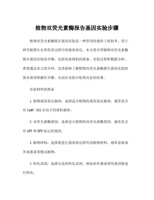 植物双荧光素酶报告基因实验步骤