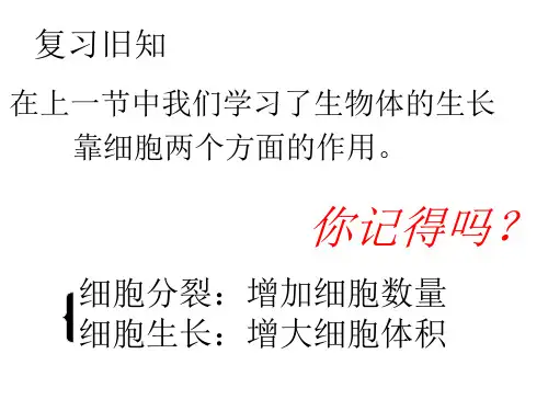 七年级生物第二单元动物体的结构层次示范课公开课一等奖课件省赛课获奖课件