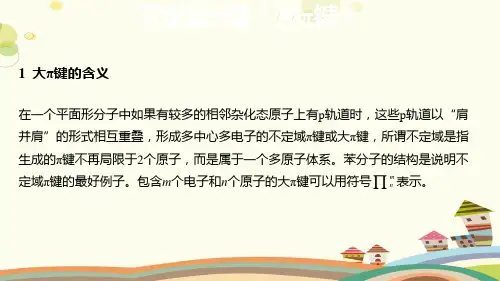 【知识解析】不定域π键(大π键)-完整版课件