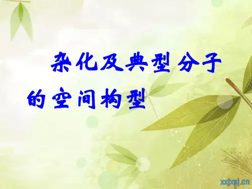 化学物质结构之杂化轨道(精)