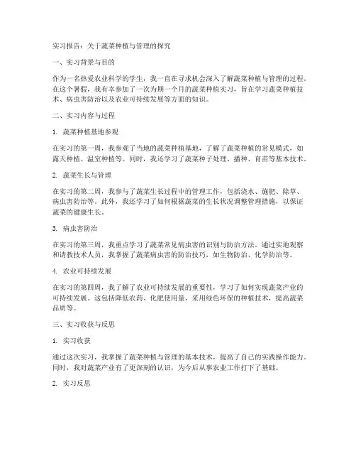 关于蔬菜的实习报告