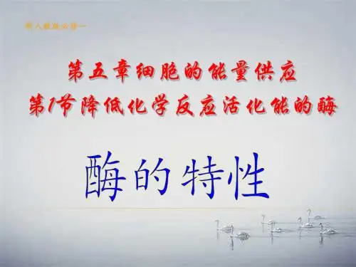 人教版高中生物必修一第5章第1节1.2酶的特性  课件