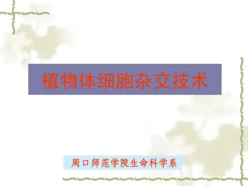 【生物技术】第六讲(2)植物体细胞杂交技术