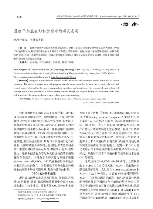 肿瘤干细胞在妇科肿瘤中的研究进展