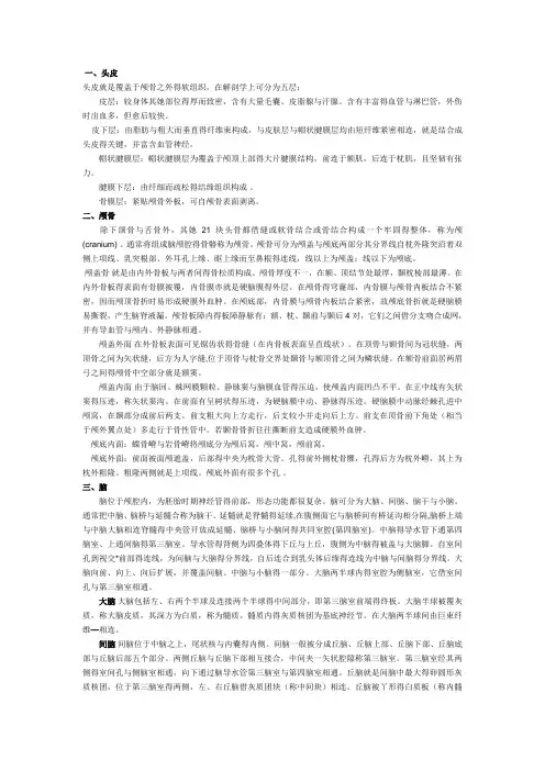 颅骨解剖