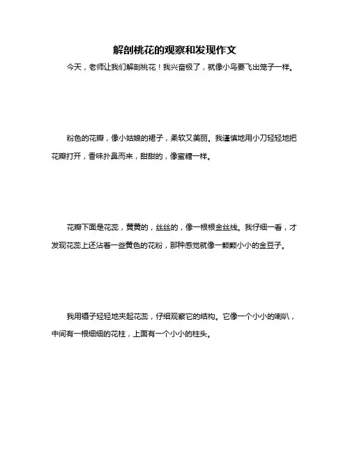 解剖桃花的观察和发现作文