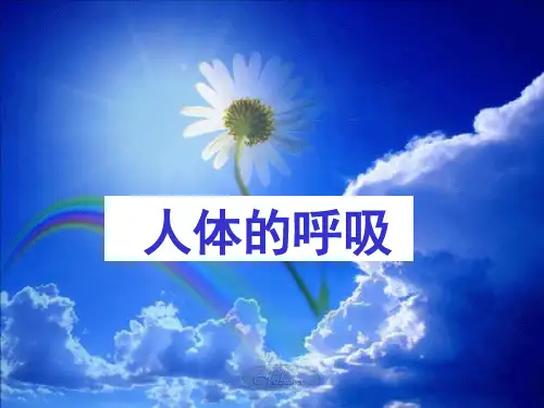 《人体的呼吸》复习用ppt课件