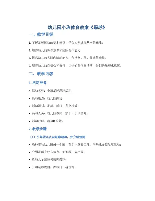 幼儿园小班体育教案《踢球》